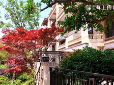 冠亚星城四期 3室2厅 南