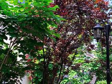 冠亚星城一期2室1厅南北