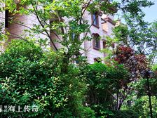 海上传奇 西边户 观河好房 有储藏室