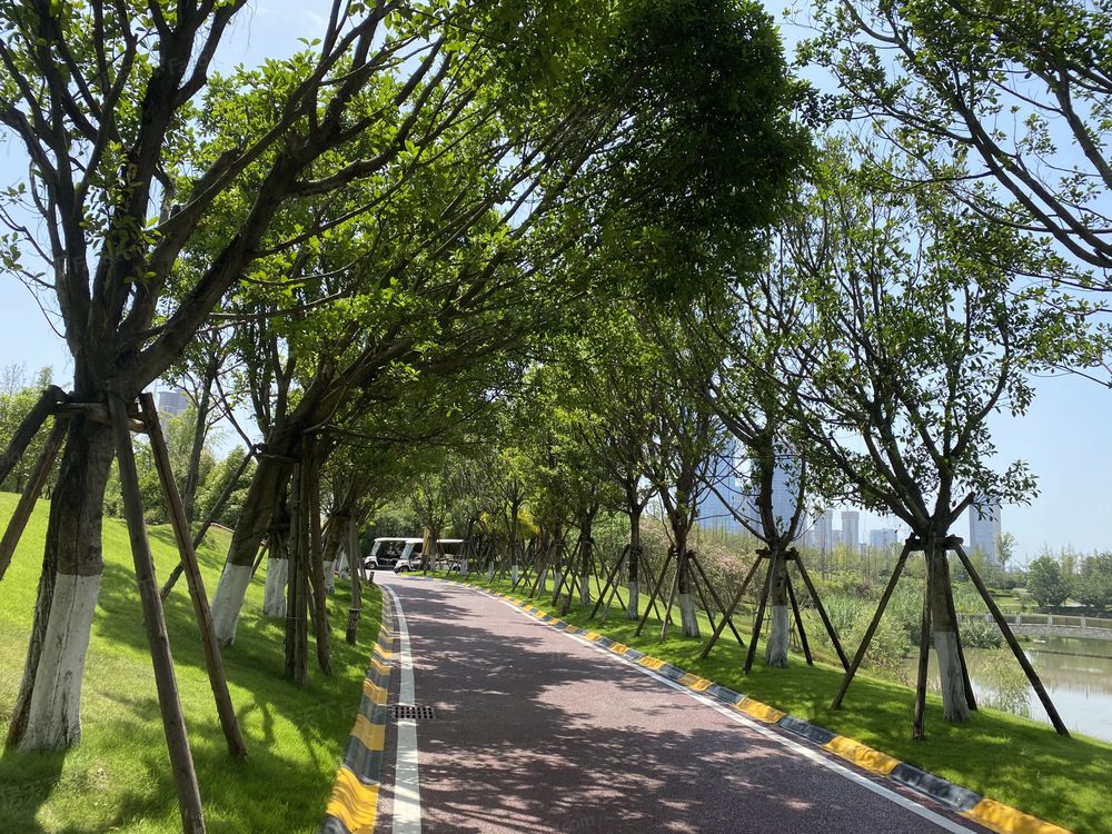 小区相关图