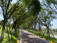 万达华府4室2厅西南