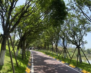 万达华府4室2厅西南