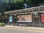 湖景中学公交站