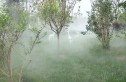恒基悦泓府实景图