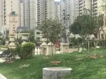 小区环境