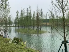 同济附属 万科品质 精装修下叠带前后院子和地下室