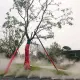 远大清芷园实景图