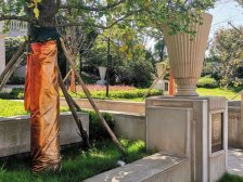 新城璟隽 次新小区 毛坯 业主诚心出售