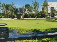 小区人车分流.环境好.楼间距宽.采光通风效果好