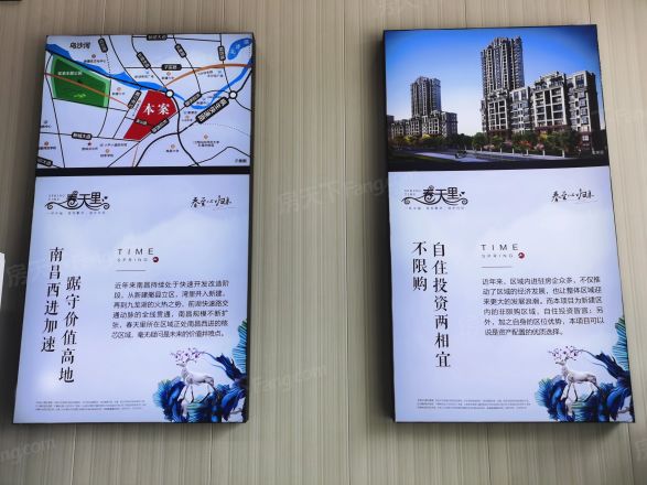 春天里实景图