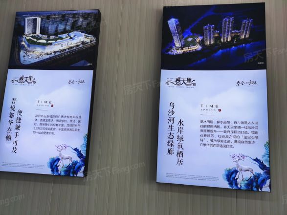 春天里实景图