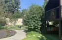 国风长安云棠实景图