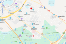 R29电子地图