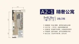 恒大金融广场1室1厅1厨1卫建面45.29㎡