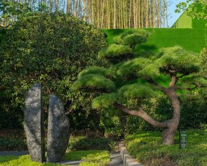 中天云望3室2厅南