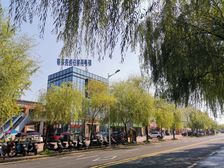 柳叶湖边保利英式双拼别墅,花园车库电梯井