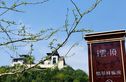 浏阳碧桂园云顶实景图