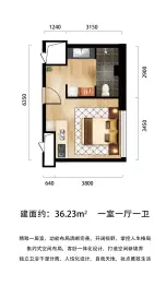 德汇中心蜂巢公寓1室1厅1厨1卫建面36.23㎡