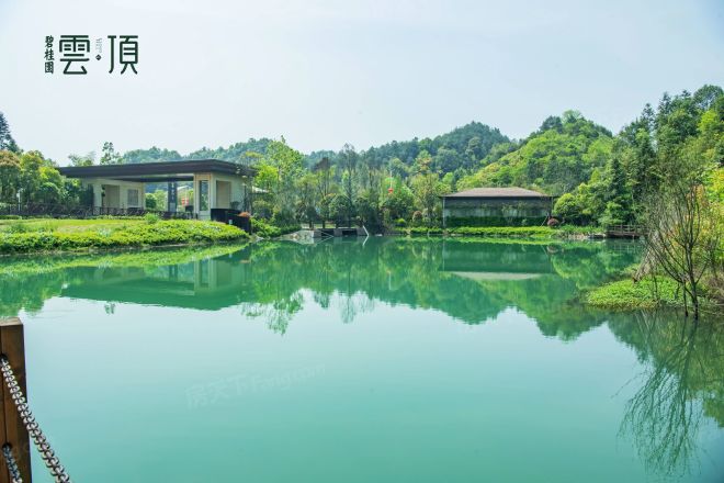浏阳碧桂园云顶实景图