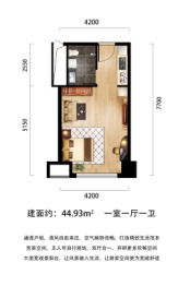 德汇中心蜂巢公寓1室1厅1厨1卫建面44.93㎡