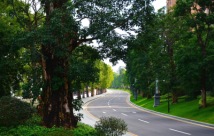 长沙星河湾小区道路