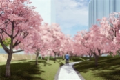 樱花步道