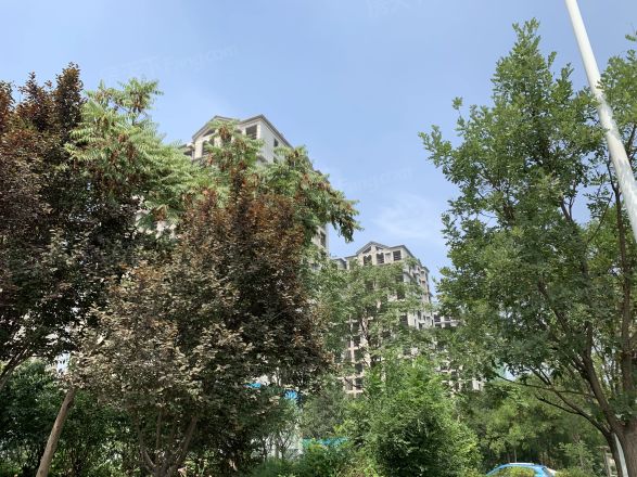 花样年锦上花实景图