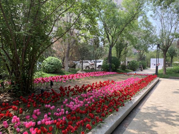 花样年锦上花实景图