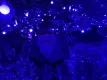 碧桂园大都会活动现场