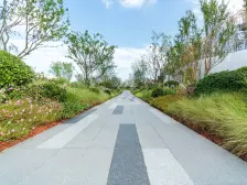 路劲海尚湾3室南朝向226.00万元/套出售