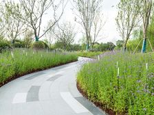 嘉定外冈~下叠~送花园~清水毛坯~户型方正