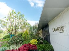 环境优美,景观房,房型正气,联排别墅,得房率高