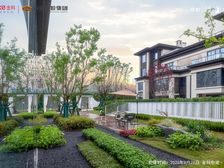 金科中梁美院3室2厅西北