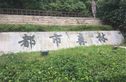 都市森林公寓实景图