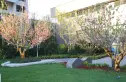 银川·中梁印实景图