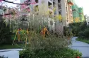 银川·中梁印实景图