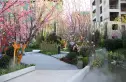 银川·中梁印实景图