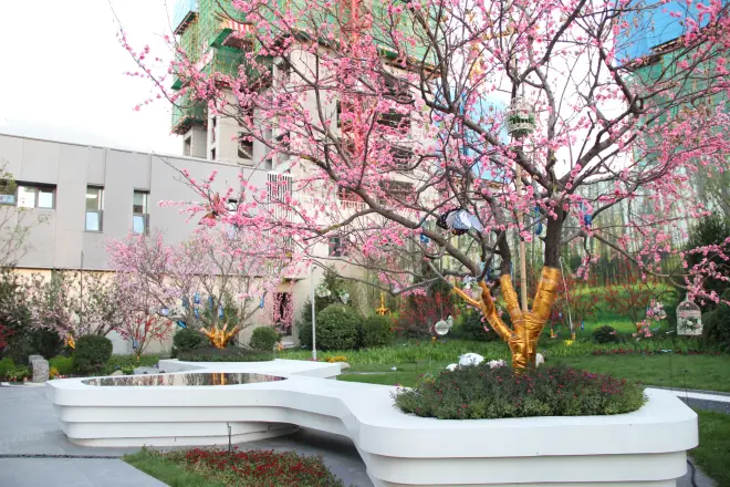 银川·中梁印实景图