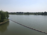 金水湖景