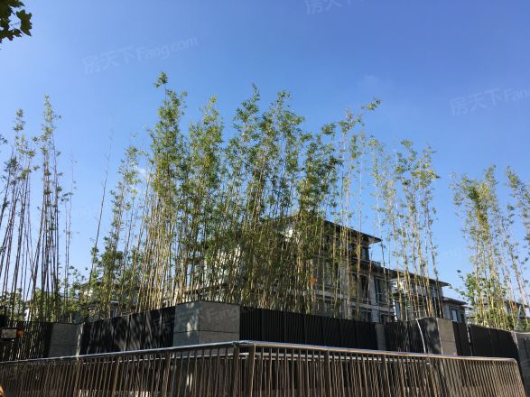 漓江山水花园三期