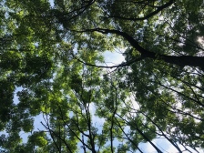 保利山海大观现房中高层精装边户带车位出售诚心出售。