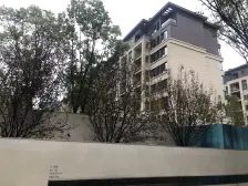 龙洲湾 旭辉江山青林半一期四房63万