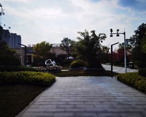 碧桂园凤凰首府3室2厅南北