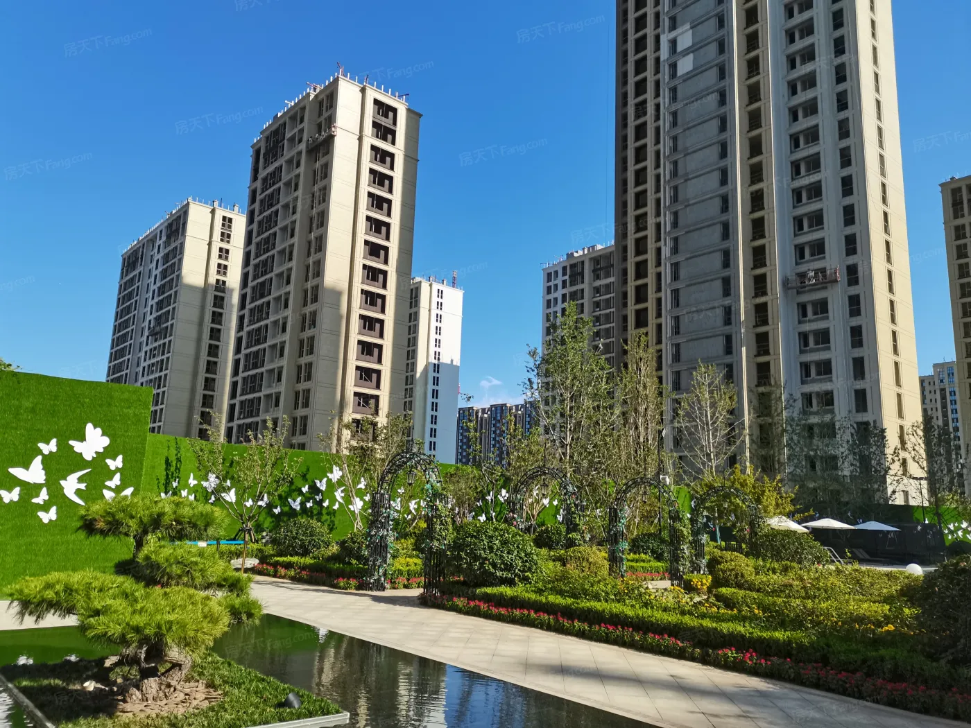 济南杨柳春风