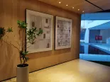 展示区