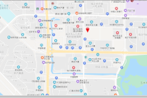 OCC奥德国际电子地图交通图