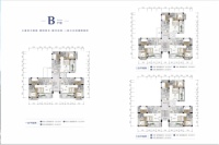 天鹅组团B户型