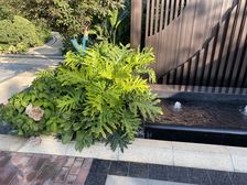 万年广阳郡九号 楼层好 采光好 南北通透