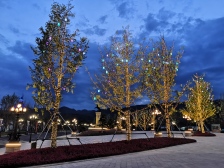 恒大健康城户型方正出门就是轻轨站