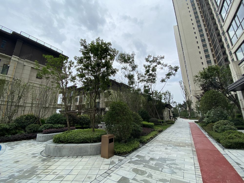 小区相关图